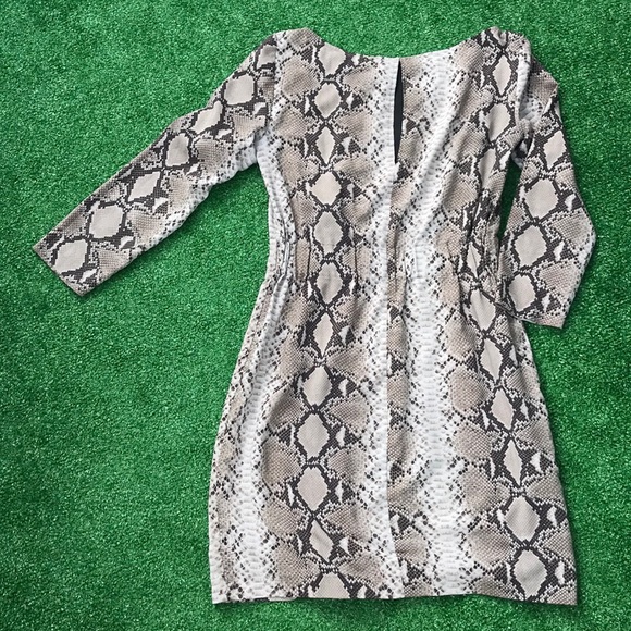 💖 5 for $25 💖 ZARA 🐍 Print Dress - Picture 7 of 8